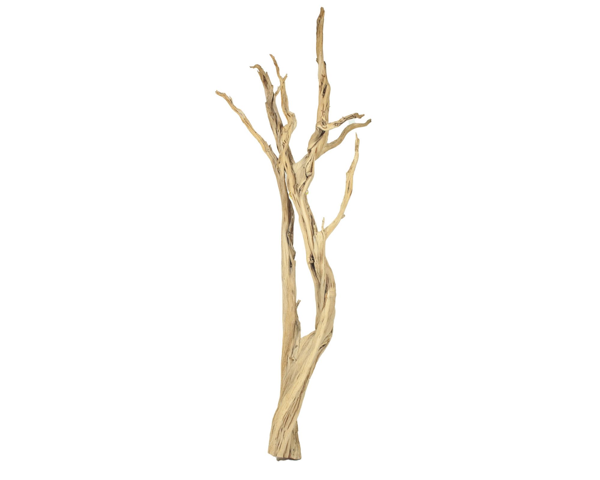 fleur ami »Ghostwood« Treibholz 90-100 cm