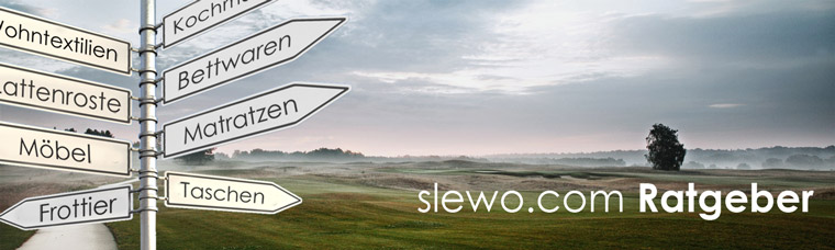Bild zu Die neusten Artikel im slewo.com Ratgeber