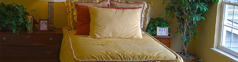 Bild zu Vorsicht: Zimmerpflanzen wirklich ins Schlafzimmer bzw. am Bett aufstellen?